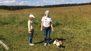 Зачем собаке бега?  Джек рассел Ветка