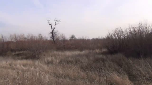 Река Чу Поздняя осень смотреть онлайн