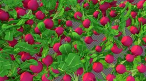 4 мультяшных кулинарных перехода на прозрачном фоне: овощи