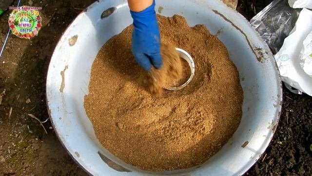 Секреты выращивания крупных арбузов от А до Я в огороде