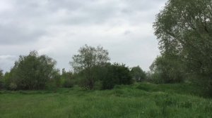 Виноградная Косточка Караоке