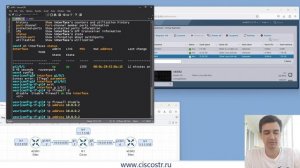 ELTEX vESR назначаем IP адрес на интерфейс