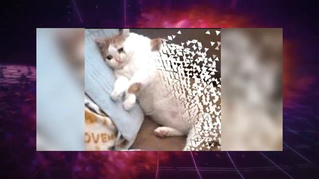 ВСЕ ПОПУЛЯРНЫЕ МЕМЫ 2018 ГОДА ЗА 10 СЕКУНД смотреть онлайн