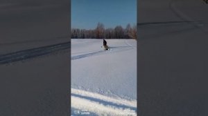 переделанный динго т125 (05.02.23)
