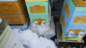 зимовка пчел в 6 рамочных ульях на 2 корпусах, разный тип вентиляции, результат в декабре