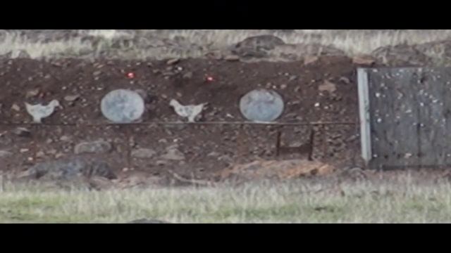 Browning T-Bolt .17 HMR review...200 yards in HEAVY winds смотреть онлайн