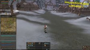 Как быстро прокачать гнома 1-20 лвл Lineage 2