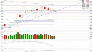 TSLA 特斯拉 股票价格走势的分析 2023年02月27日（第370期） #Tesla #K线技术分析