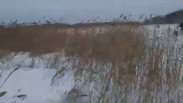 покатушки на мотособаке смотреть онлайн