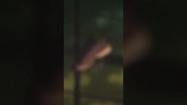 аниме клип/ У тебя друзья бандиты и ты сам опасен смотреть онлайн