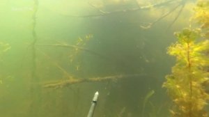 Два дня на реке Дон 15-16.07.2017 прозрак Агонь!!!