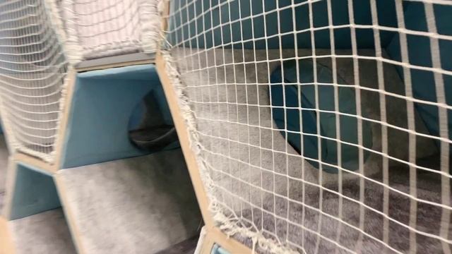 LERA В МЕГЕ. Детская площадка PLAY смотреть онлайн