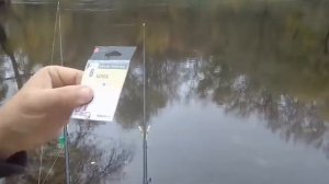 Фидерная рыбалка на Северском Донце в октябре