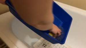 КРОЛИКИ ВОНЯЮТ ИЛИ  НЕТ/ ЛОТОК ДЛЯ КРОЛИКА/ КАРЛИКОВЫЙ КРОЛИК/ ШАХТЫ