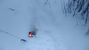 Калиевая селитра +сахарная пудра!