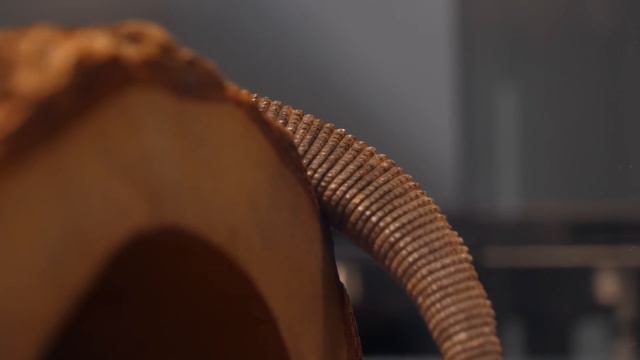 Do I Regret Getting a Savannah Monitor? смотреть онлайн