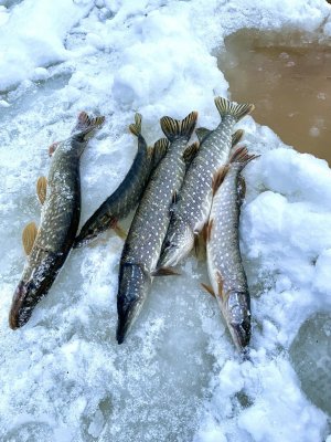 3 ДУПЛЕТА. ЩУКА просто бесится. Лучшая рыбалка за 3 сезона!.mp4