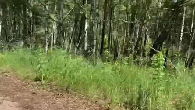 В ЗОНУ ЧАЭС с VANQUISH 340. смотреть онлайн