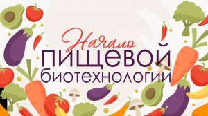 Начало пищевой биотехнологии. 2 лекция