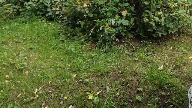 Самодельная бсз москвич 412 смотреть онлайн