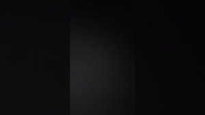 11.11.23.Общение с полицией,которая находится в юрисдикции США на советской земле против воли народ