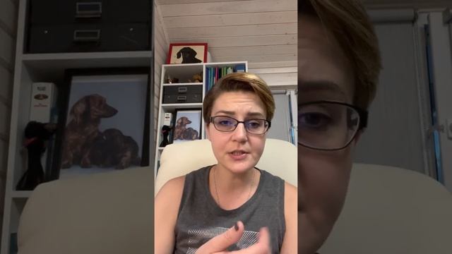 Что делать, когда собака писает на кровать? смотреть онлайн