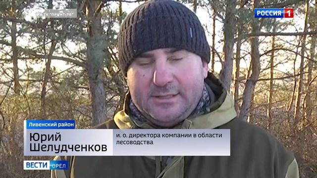 На Орловщине в патрулировании лесов задействованы квадрокоптеры