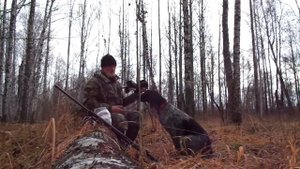 Охота с ДРАТХААРОМ. Октябрь 2019.