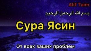 ??✅ Cура Ясин Красивый Коран слушать. СПОКОЙСТВИЕ НА ВСЮ НОЧЬ И ЛЕГКОСТЬ С УТРА. #NURISLAM05 #