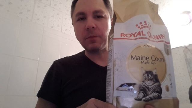 Я КУШАЮ КОШАЧИЙ КОРМ смотреть онлайн