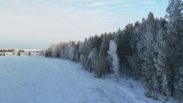 Акколь - Зимний лес - Рассвет