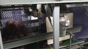 Машина упаковки картофеля в сетку-мешок УМ-25 производства КЛИНМАШ