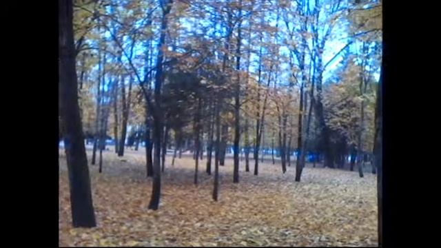 Осенний парк, Курск, Трамвай...