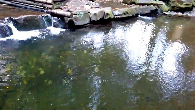 Национальный природный парк "Сколевские Бескиды" смотреть онлайн