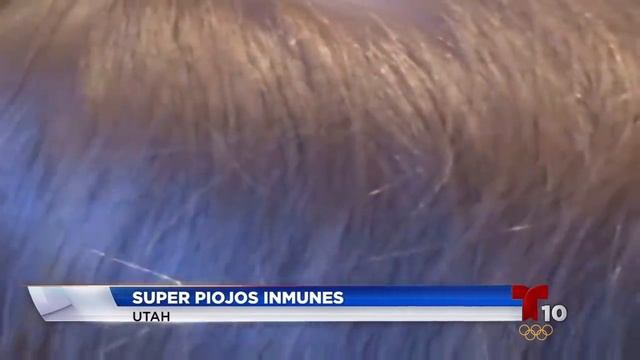 Super Piojos Inmunes En Utah смотреть онлайн