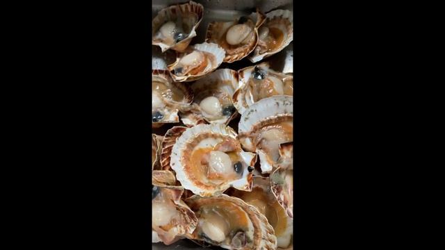 ГРЕБЕШКИ#франция #жизньвофранции #французскаякухня #гребешок