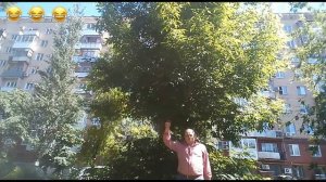 Иди пока не поздно к психиатру