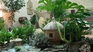 Зимовка комнатных растений! Период покоя! Как должны зимовать растения в квартире.