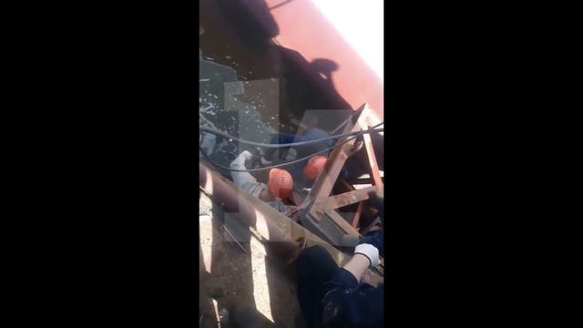 Рабочие завода "Янтарь" спасли косулю, которая не могла выбраться из Преголи смотреть онлайн