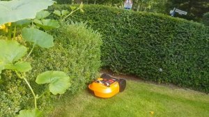 WORX Landroid M700 W142E am Begrenzungsdraht