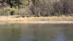 США,,НАШЕ весёлое ПУТЕШЕСТВИЕ на КАЯКЕ, промокли,Spokane river..