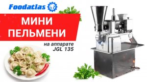 Видео мини-пельмени, пельменный аппарат JGL-135, 12 ячеек, матрицы пельменных аппаратов, #Shorts