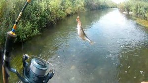Мормышинг. Лютое бесклевье, но мормышинг спасает