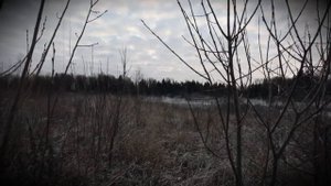 Казачья песня _Шли казаки_, исполняет ансамбль _Солнцеворот_.mp4