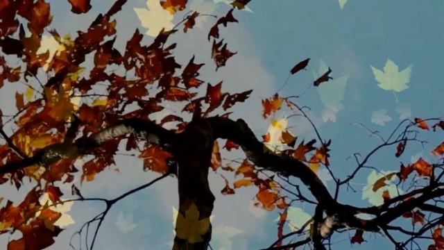 Авторская песня. Слёзы осени. Автор - исполнитель Олег Ветошев, стихи Валерий Искра. смотреть онлайн