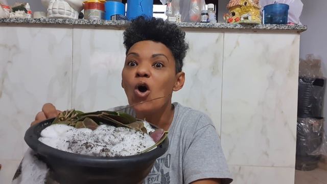 CAIXINHA DE SUCULENTA SURPRESA смотреть онлайн