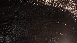 Toyota RAV4 доработки. Все очень нравится, но шум резины был просто невыносимый