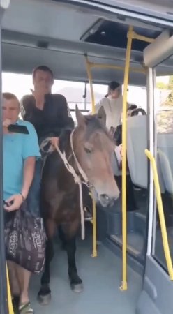 В Сухуми мужик на лошади зашел в автобус