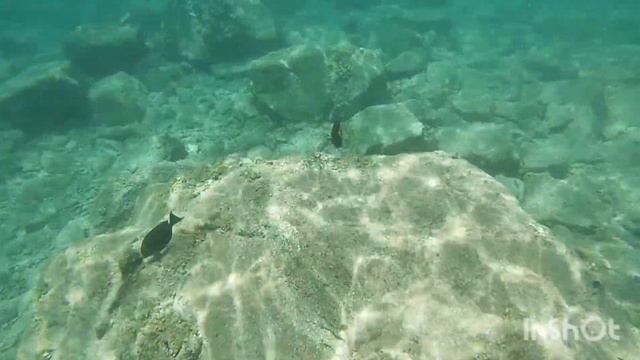Израиль#Эйлат#Красноеморе#рифы#beach#princess