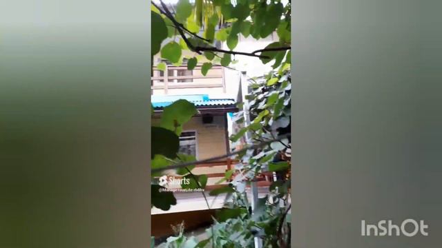 Бизнес в онлайн. Плод грамотных действий дает новый уровень жизни.